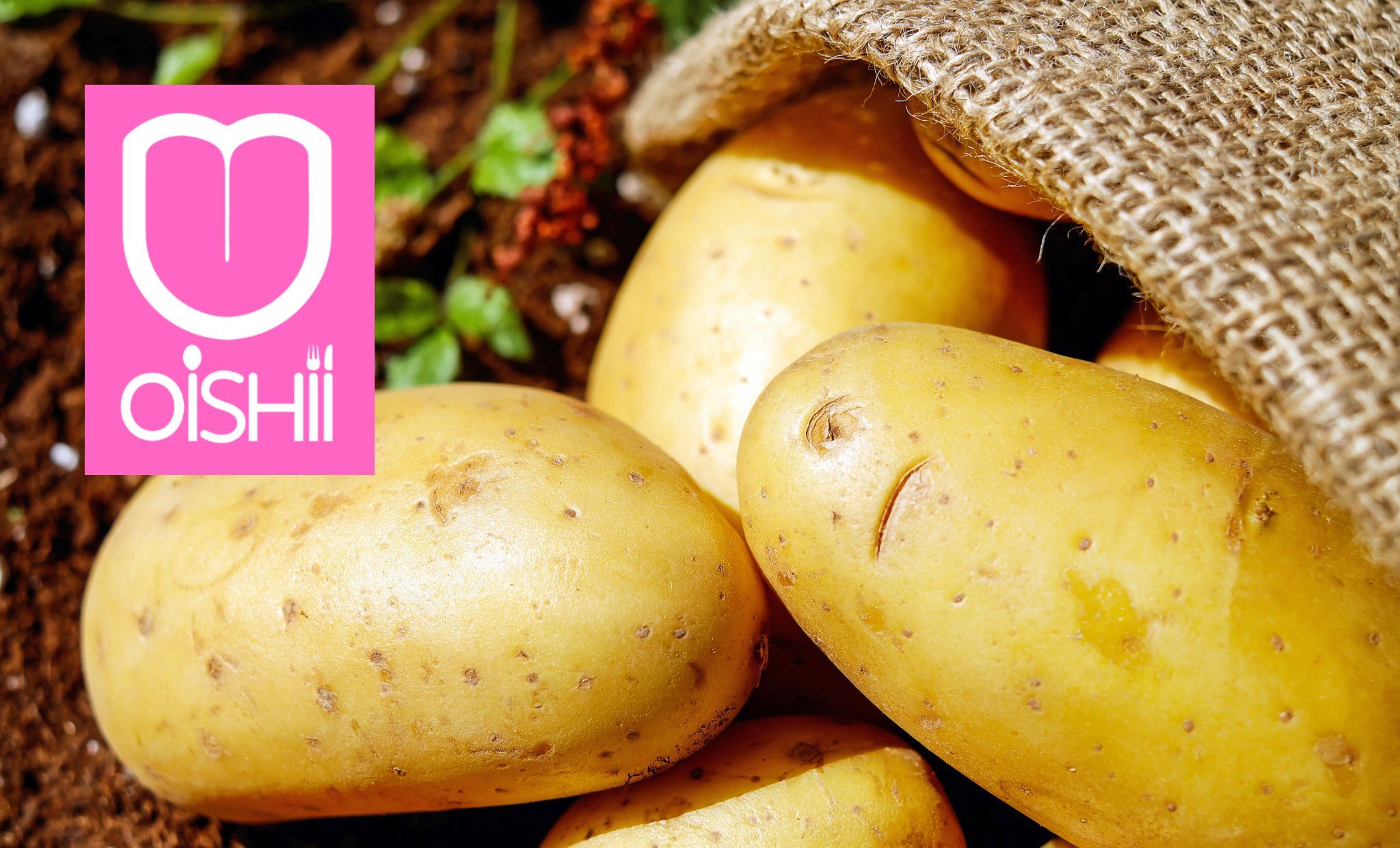 Regio Health News - Die Kartoffel - ein Grundnahrungsmittel mit viel ...