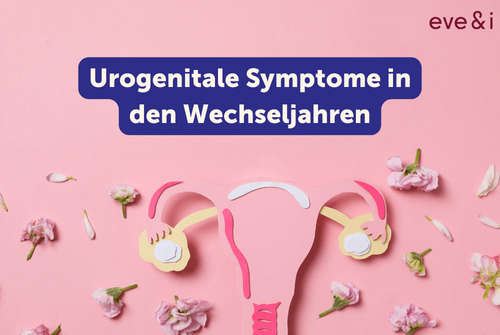 Veränderungen Im Genitalbereich In Den Wechseljahren regiohealth.news